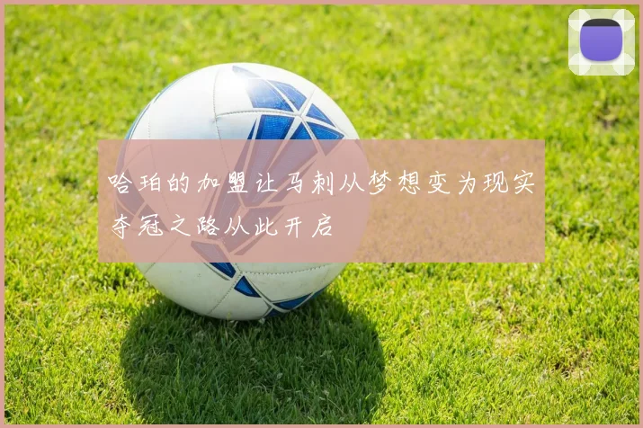 哈珀的加盟让马刺从梦想变为现实夺冠之路从此开启